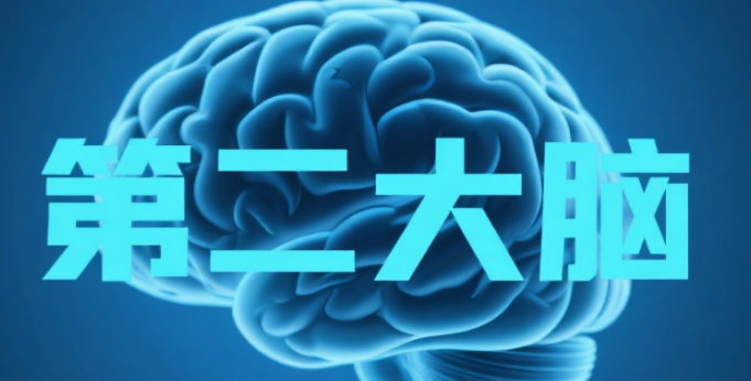 企业微信截图_20250814215829.png